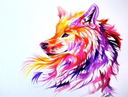 User Profile: loupdereves