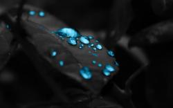 User Profile: StringsOfBurden