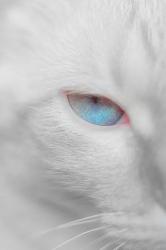 User Profile: 0sunandmoon7