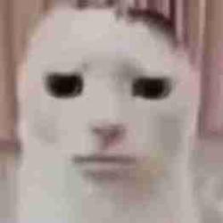 User Profile: angstyteen28