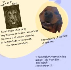 User Profile: Sully012251