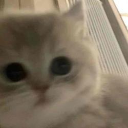 User Profile: Rainyday2383