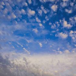 User Profile: forcefulSkies5304