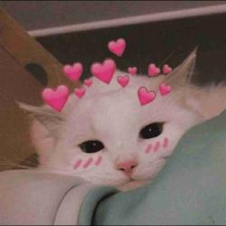 User Profile: daisyy999