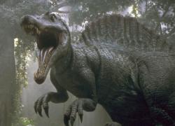 User Profile: dino4914