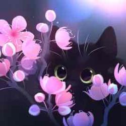 User Profile: HappyKitten2318