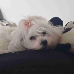 User Profile: Yiyi2002