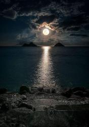 User Profile: brightMoon327
