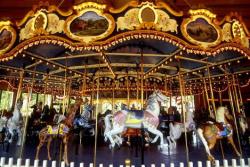 User Profile: Thecarrousel95