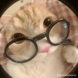 User Profile: ukiyoomi