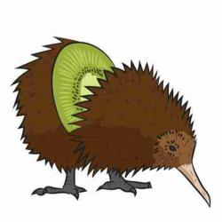 User Profile: blueKiwi3494