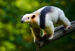 User Profile: BeanInAPan3012