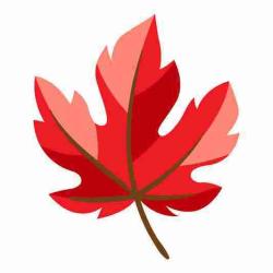 User Profile: funnyMaple1997