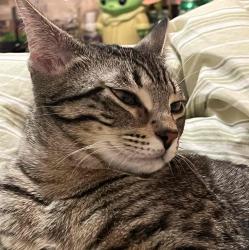 User Profile: Tinkerbell526