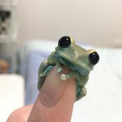 User Profile: Pancakesrnice