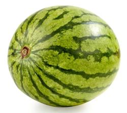 User Profile: fairmindedMelon5398