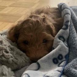 User Profile: thoughtfulFriend67