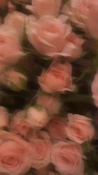User Profile: peacefulDovex