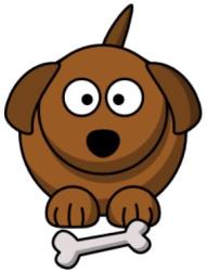 User Profile: kyled509