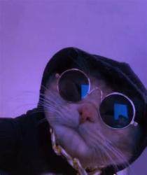 User Profile: ToastedMushroomPie