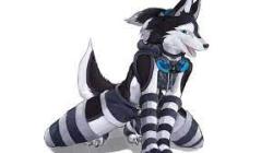 User Profile: Dakota1553
