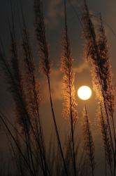User Profile: Moonlight8144
