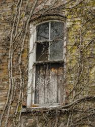 User Profile: OpenWindow