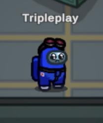 User Profile: Tripleplay