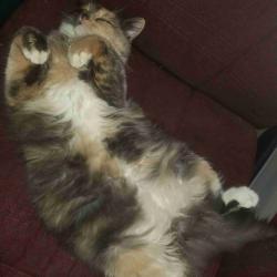 User Profile: autumnb1989