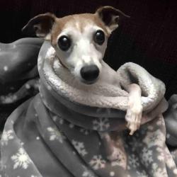 User Profile: IrelandsMomma