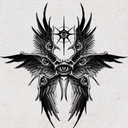 User Profile: selfconfidentNorth8876