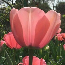 User Profile: compassionateHuman5626