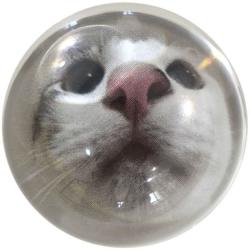 User Profile: reeseisgreat