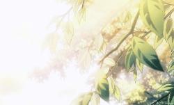 User Profile: Lemoncake