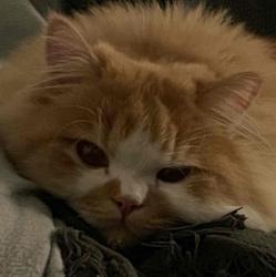 User Profile: generousWatermelon744