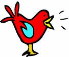 User Profile: Birdie4ever