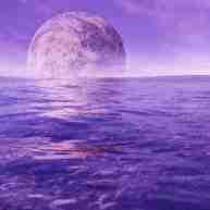 User Profile: IndigoOcean2024