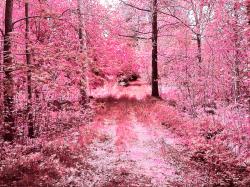 User Profile: BeautifulSparklyPink