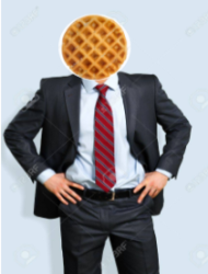 User Profile: MrFrozenWaffles