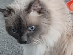 User Profile: CatDaddy60