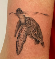 User Profile: Turtleonmyleftarm