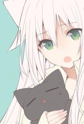 quietlady4 profile picture