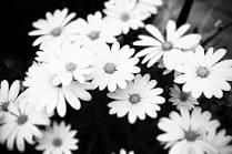 User Profile: nadi0987