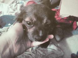 User Profile: shymelody