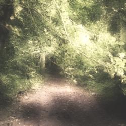 User Profile: LonesomeClown
