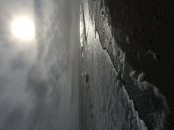User Profile: kindheartedcloud