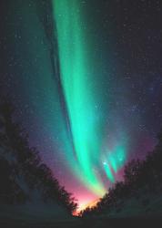 User Profile: downintheforest