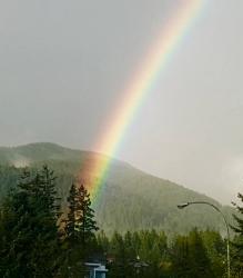 User Profile: emotionalSpruce2100