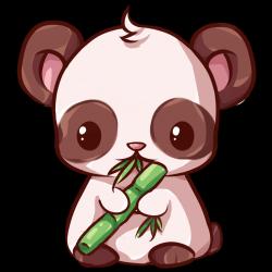 User Profile: kosmoskittles