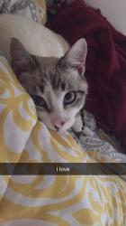 User Profile: hayleyrose0501